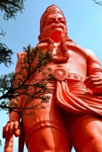 IIP Online Student Photography